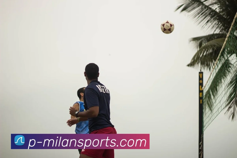 米兰体育平台生态图